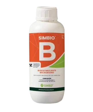 Producto